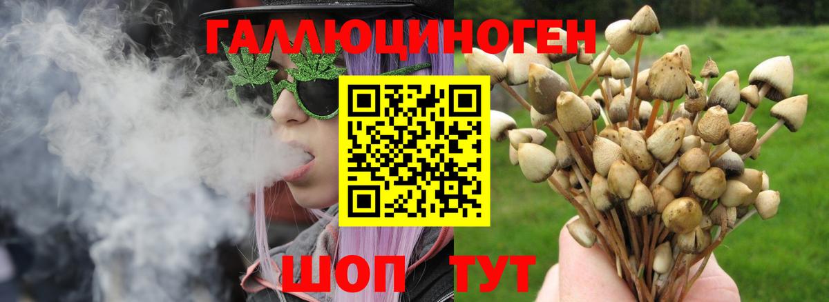 Галлюциногенные грибы GOLDEN TEACHER  Галлюциногенные грибы GOLDEN TEACHER  Вход с VPN  Вязники 
