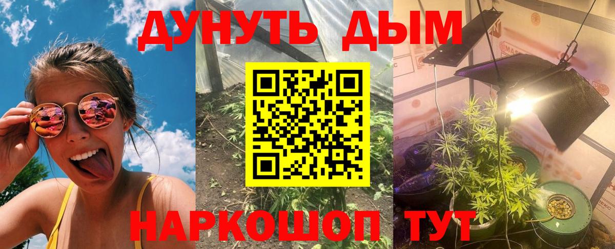 Канабис MAZAR Вязники